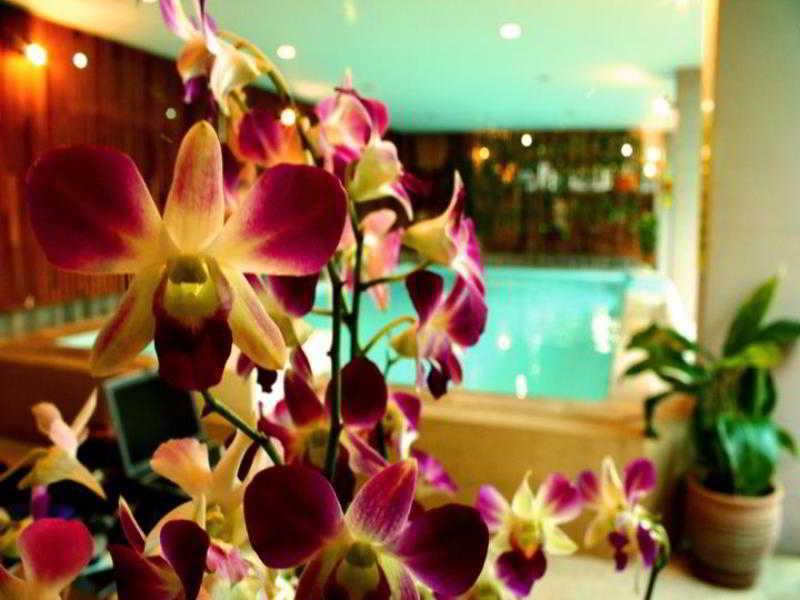 Thaphae Garden Guesthouse 치앙마이 외부 사진